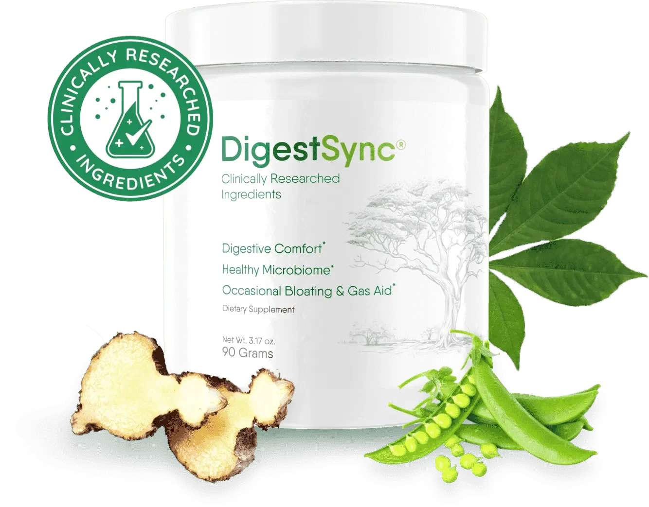 digestsync digestsync